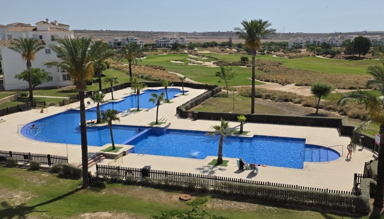 Apartamento - Apartamento en el último piso - Reventa - Sucina - Hacienda riquelme