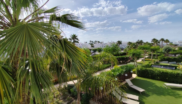 Apartamento - Apartamento en el último piso - Reventa - Vistabella Golf - Vistabella Golf