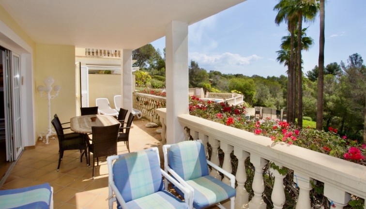 Apartment - Ground Floor Apartment - Resale - Portals Nous - Calvià