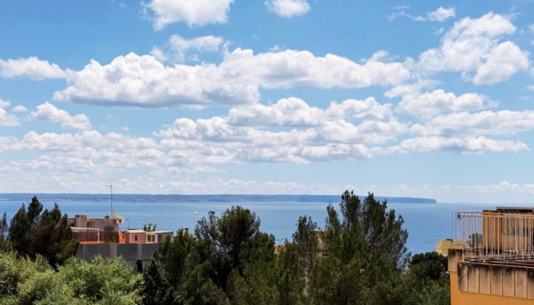 Apartment - Resale - Palma - Sant Agustí