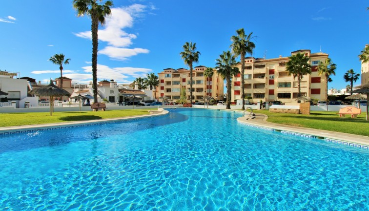 Apartment - Resale - Playa Flamenca - Playa Flamenca