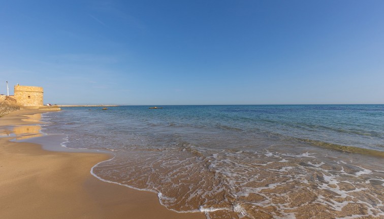Apartment - Resale - Torrevieja - LA MATA