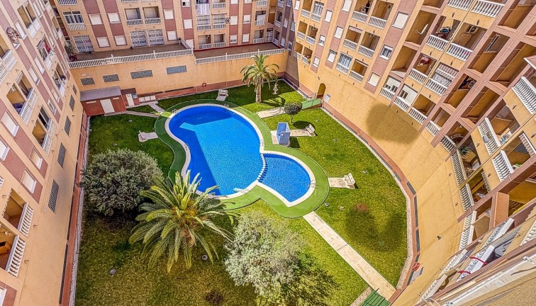 Apartment - Resale - Torrevieja - Torrevieja