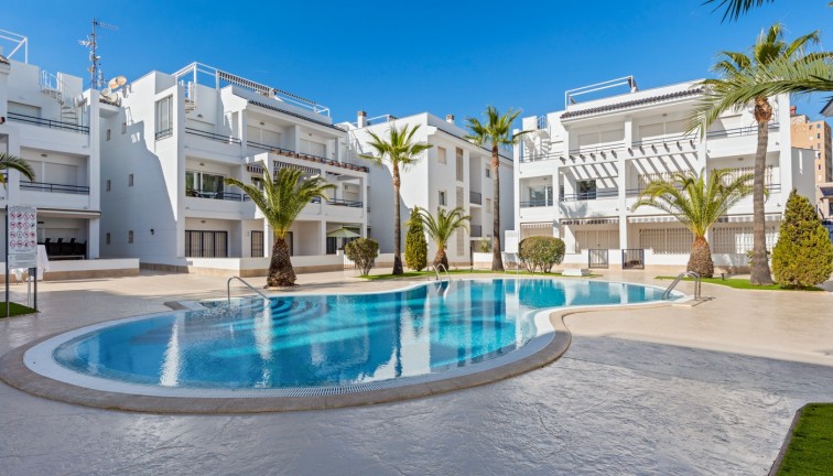 Apartment - Resale - Torrevieja - Torrevieja