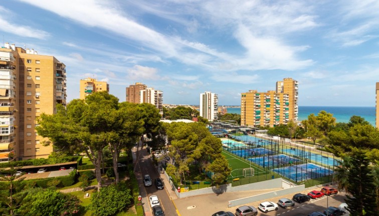 Asunto - Jälleenmyynti - Orihuela Costa - Campoamor