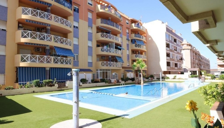 Asunto - Jälleenmyynti - Torrevieja - Torrevieja