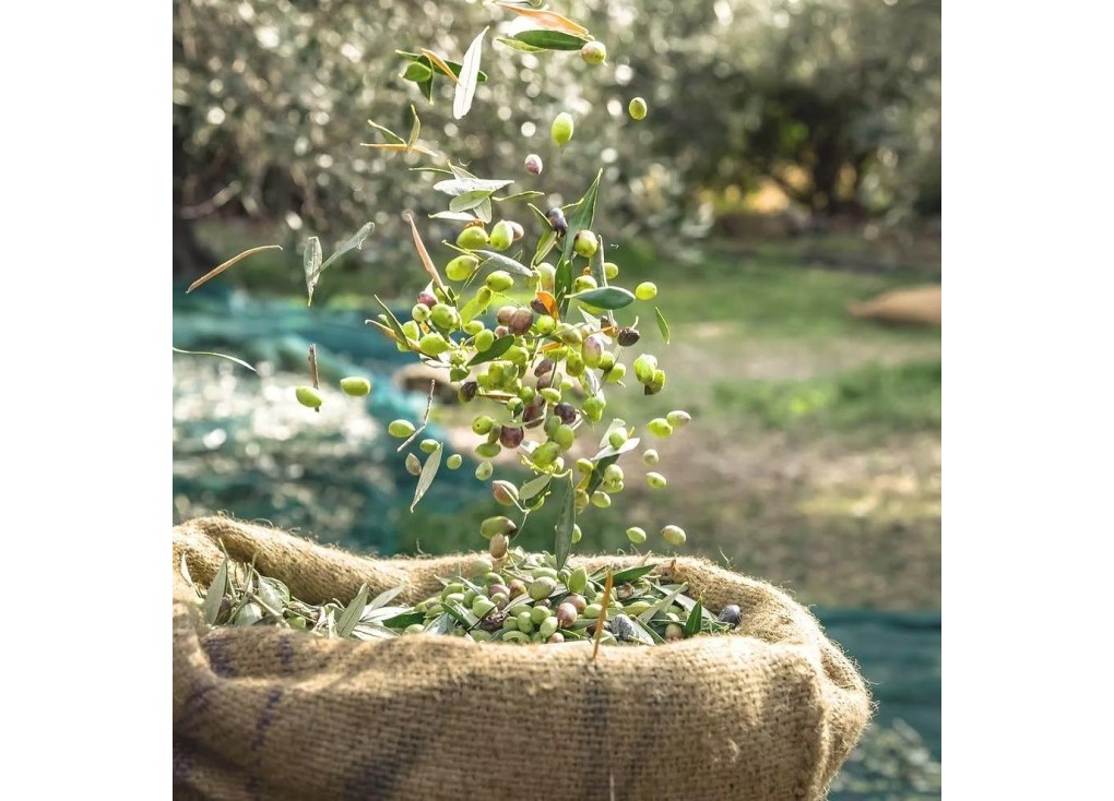 Återförsäljning - Country land - Murcia - Rincón de Seca