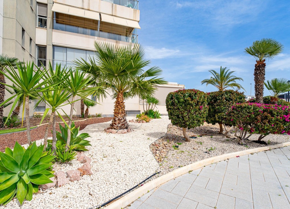 Återförsäljning - Lägenhet - Orihuela Costa - Los Dolses