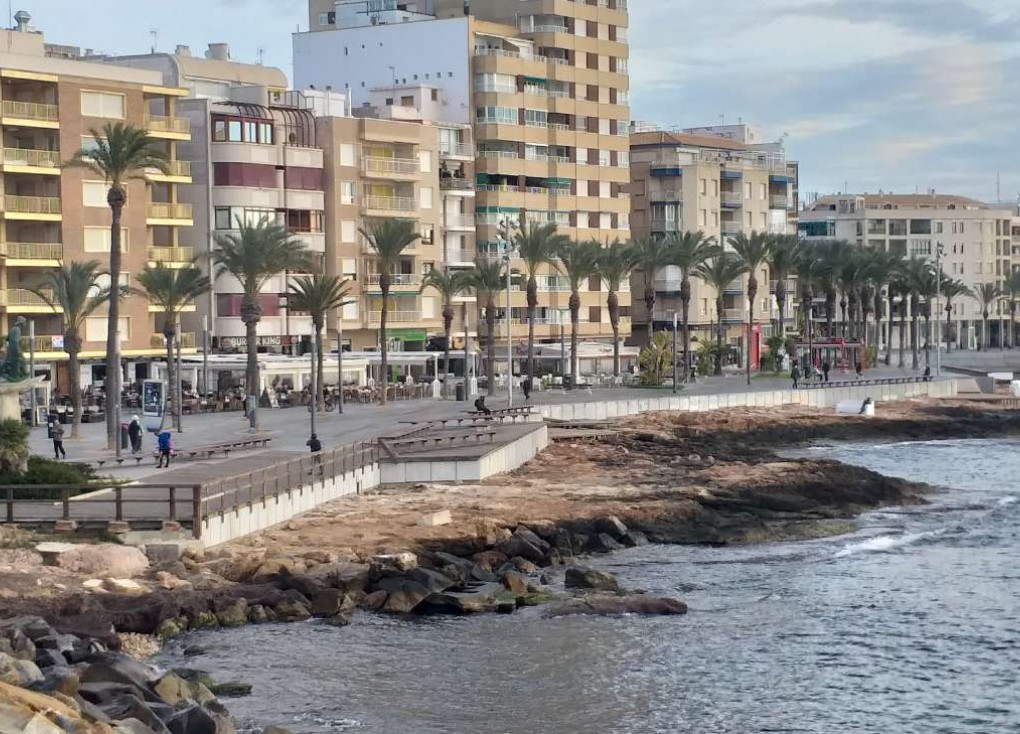 Återförsäljning - Lägenhet - Torrevieja - Acequion