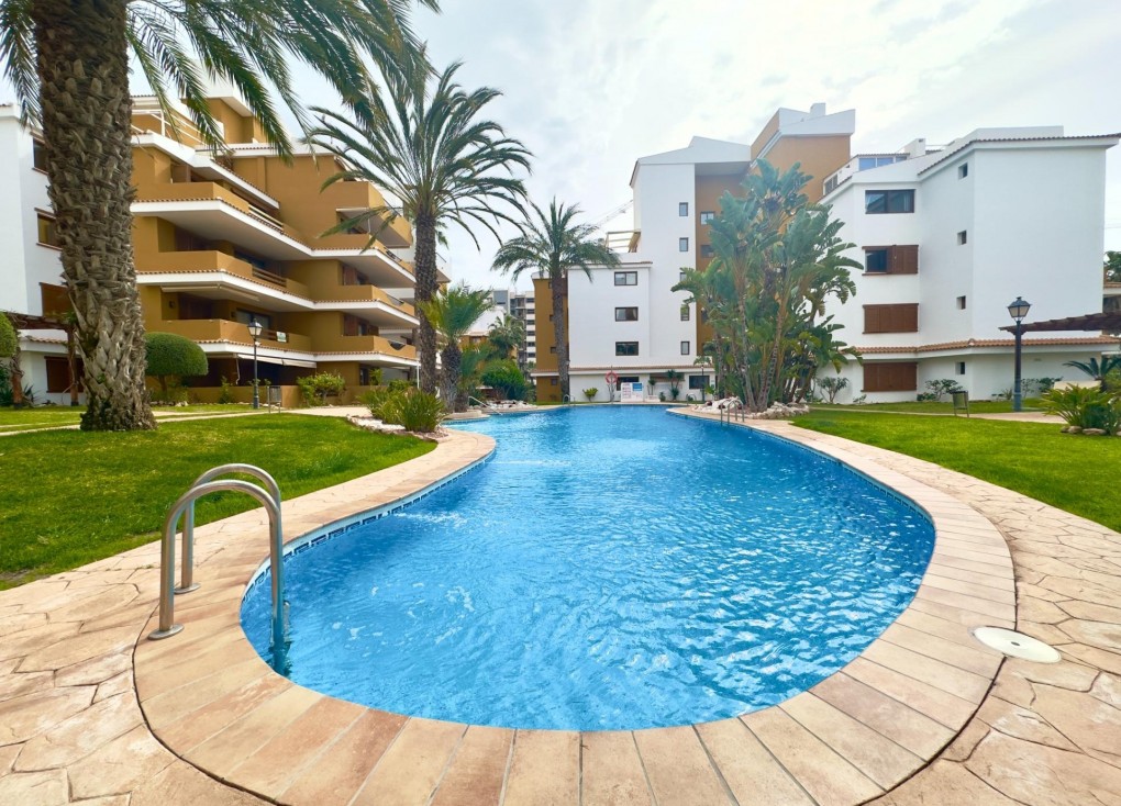 Återförsäljning - Lägenhet - Torrevieja - Punta Prima