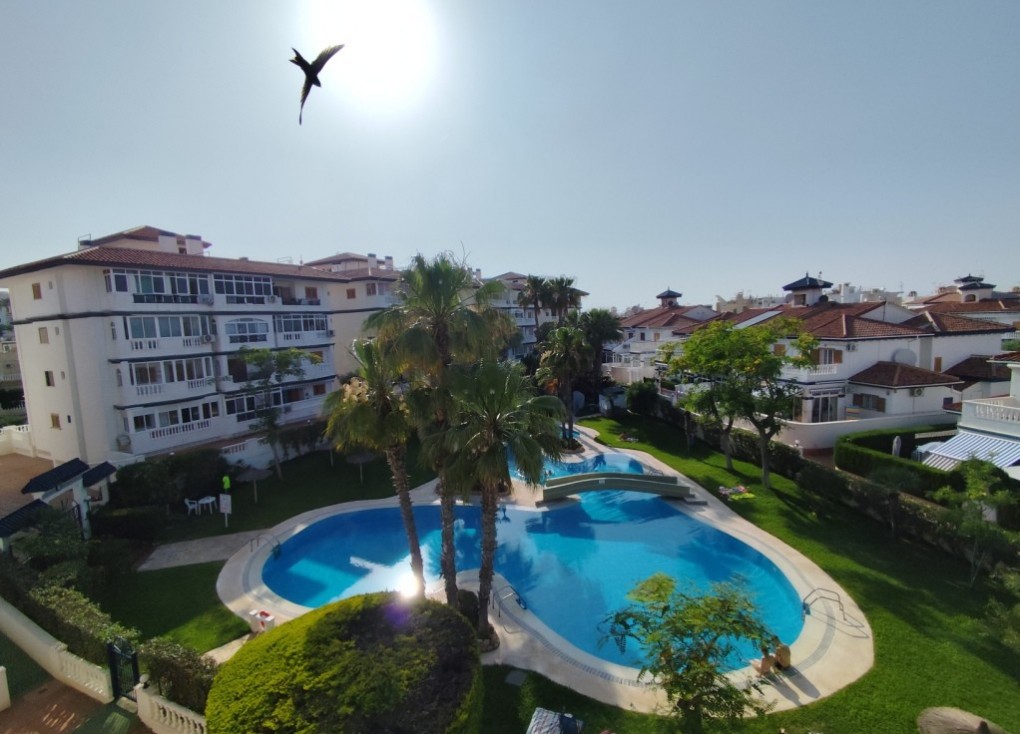 Återförsäljning - Studio - Torrevieja