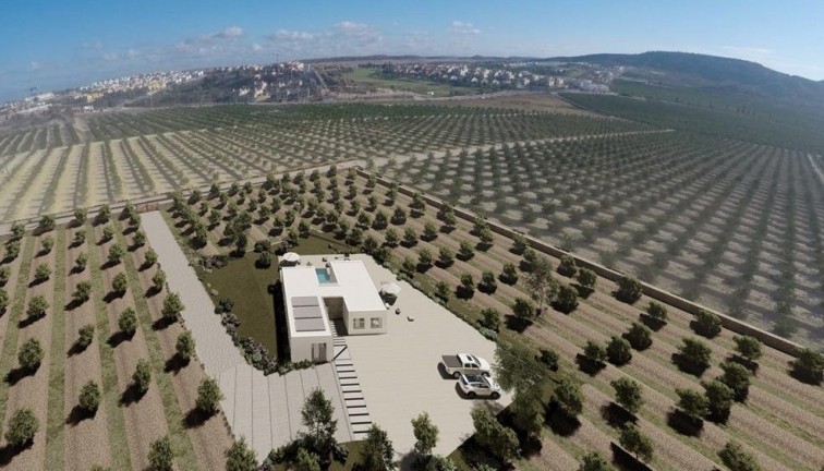 Chalet - Obra nueva - Algorfa - Algorfa