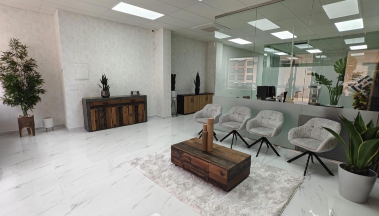 Comercial - Reventa - Los Montesinos - LOS MONTESINOS