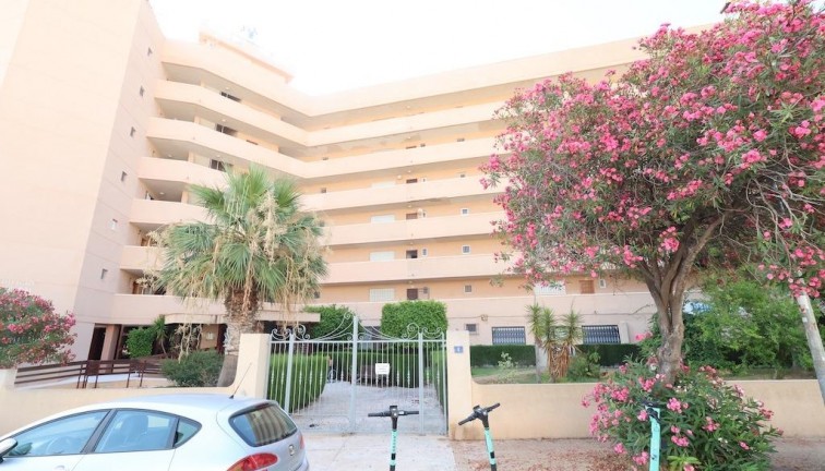 Comercial - Reventa - Orihuela Costa - La Zenia