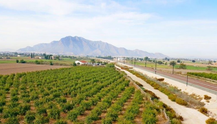 Finca - Återförsäljning - Callosa de Segura - Callosa de Segura