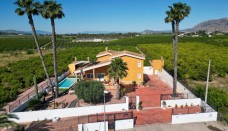 Finca - Reventa - Orihuela - BC-63599