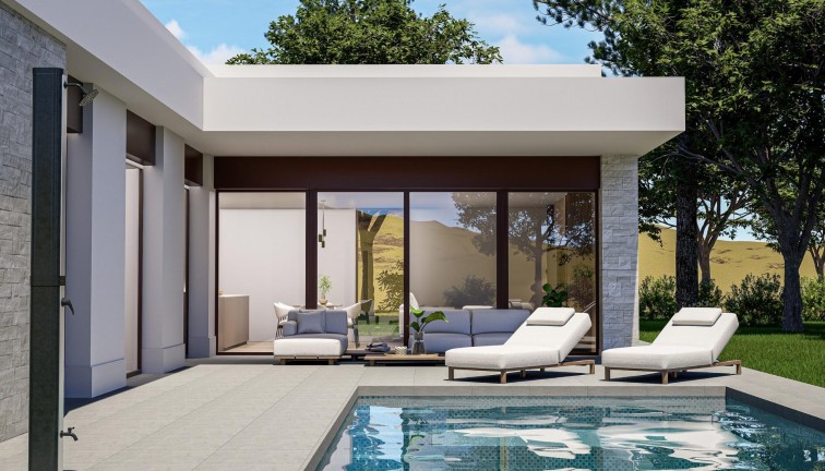 Fristående hus - Nybyggen - Pinoso - Pinoso