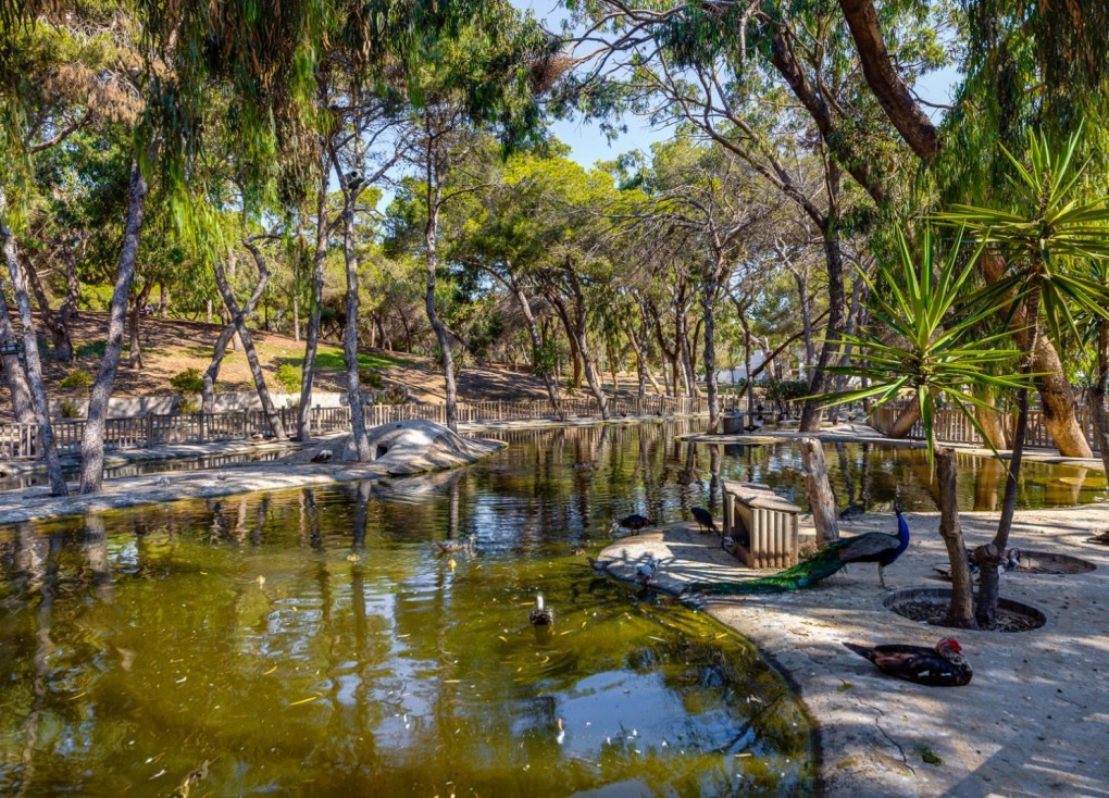 Jälleenmyynti - Asunto - Guardamar del Segura
