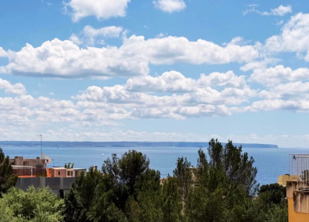 Jälleenmyynti - Asunto - Palma - Sant Agustí