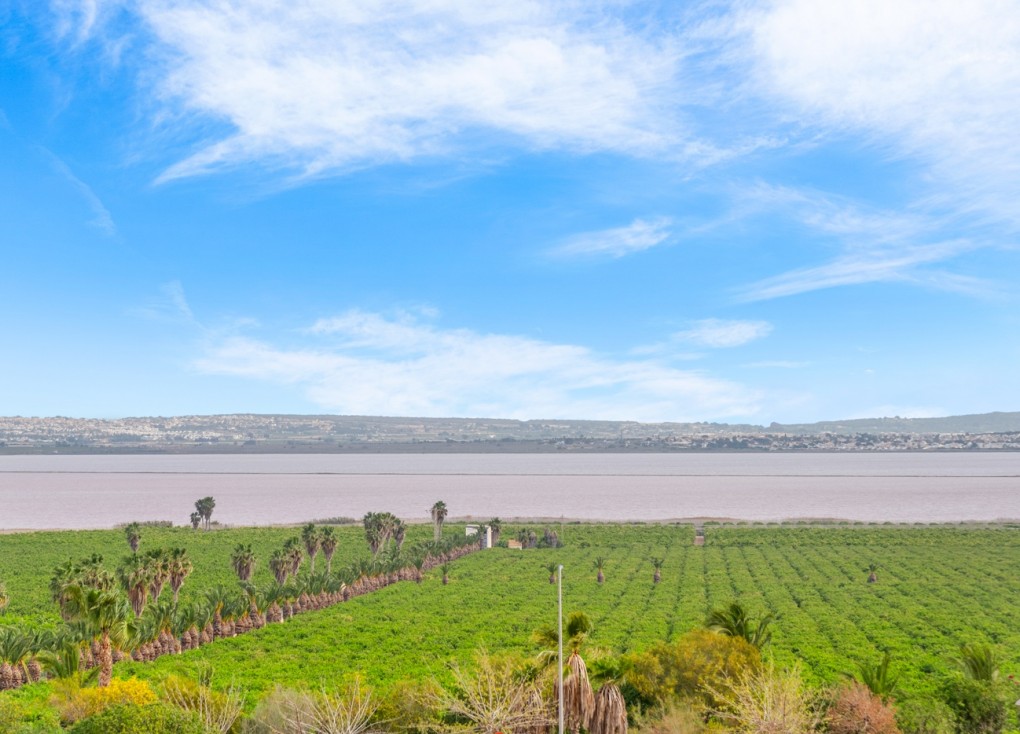Jälleenmyynti - Asunto - Torrevieja - Los Balcones