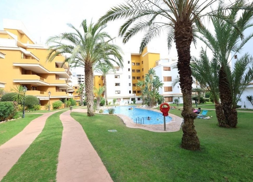 Jälleenmyynti - Asunto - Ylimmän kerroksen asunto - Torrevieja - Punta Prima