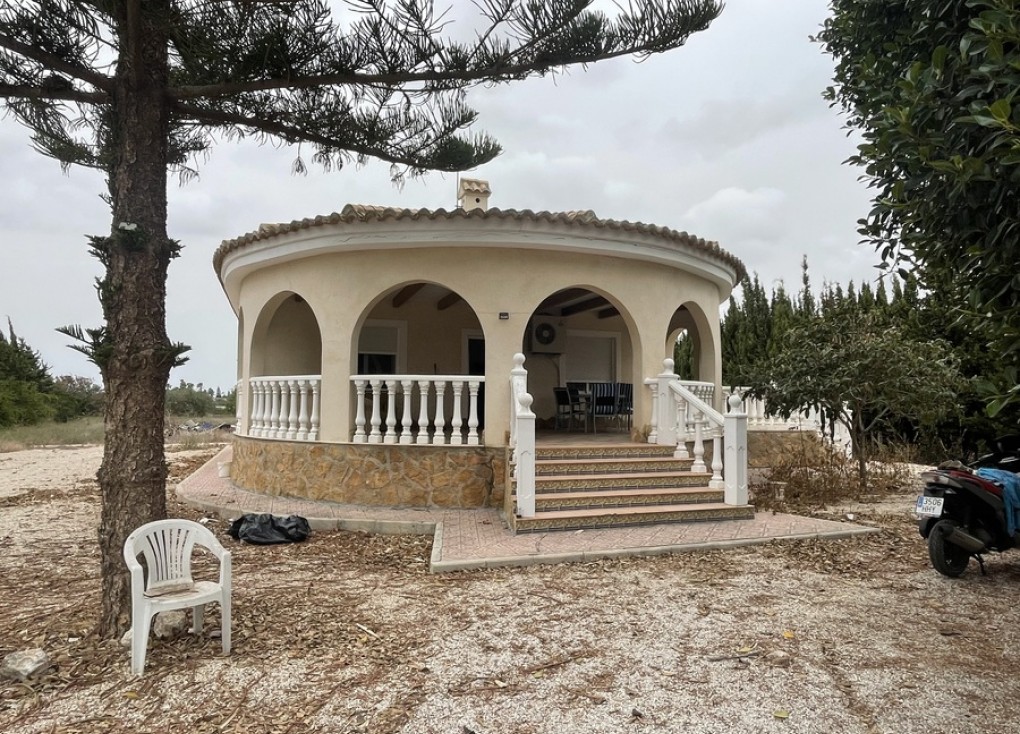 Jälleenmyynti - Finca - Daya Vieja