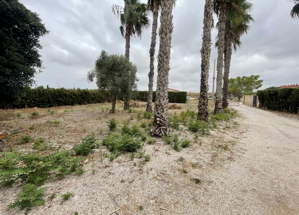 Jälleenmyynti - Finca - Daya Vieja