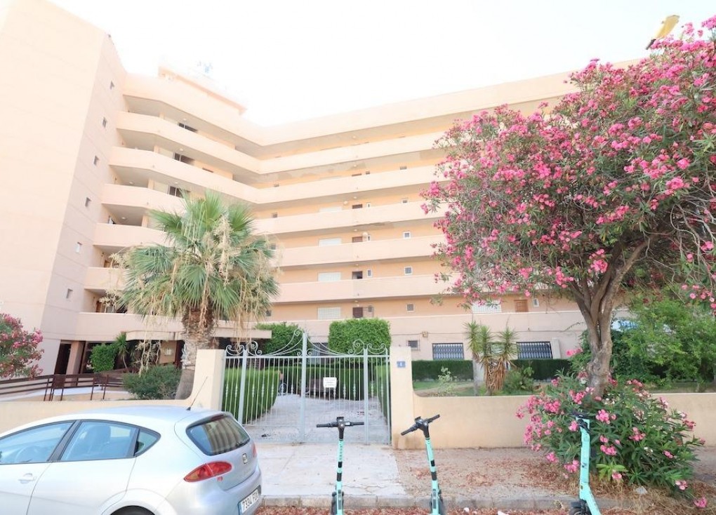 Jälleenmyynti - Liiketila - Orihuela Costa - La Zenia