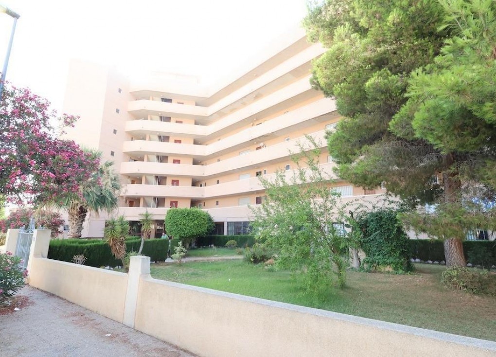 Jälleenmyynti - Liiketila - Orihuela Costa - La Zenia