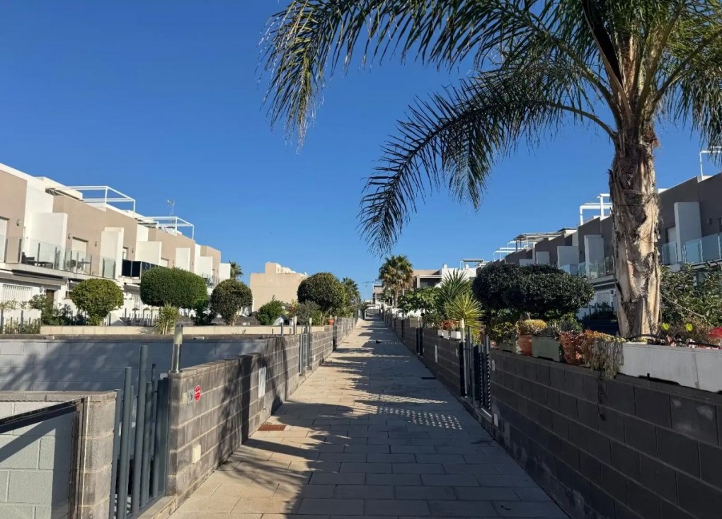 Jälleenmyynti - Paritalo/Rivitalo - Torrevieja - Aguas Nuevas