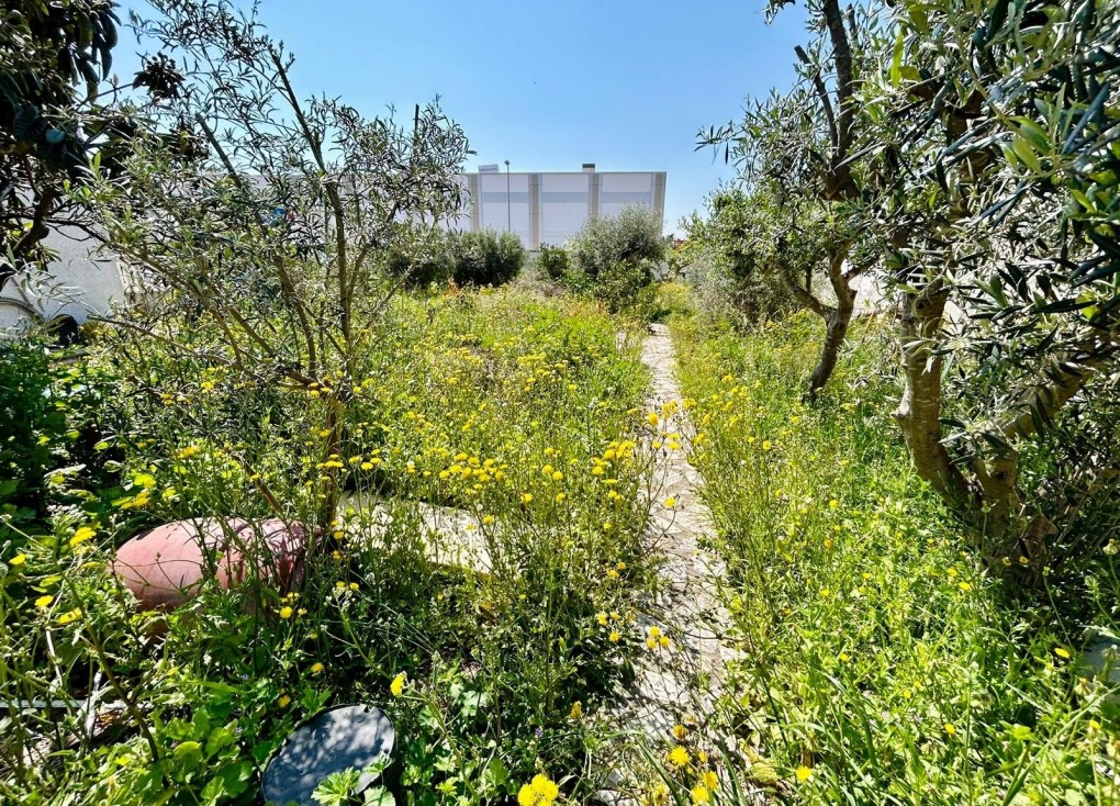 Jälleenmyynti - Tontti - Ciudad quesada - Rojales