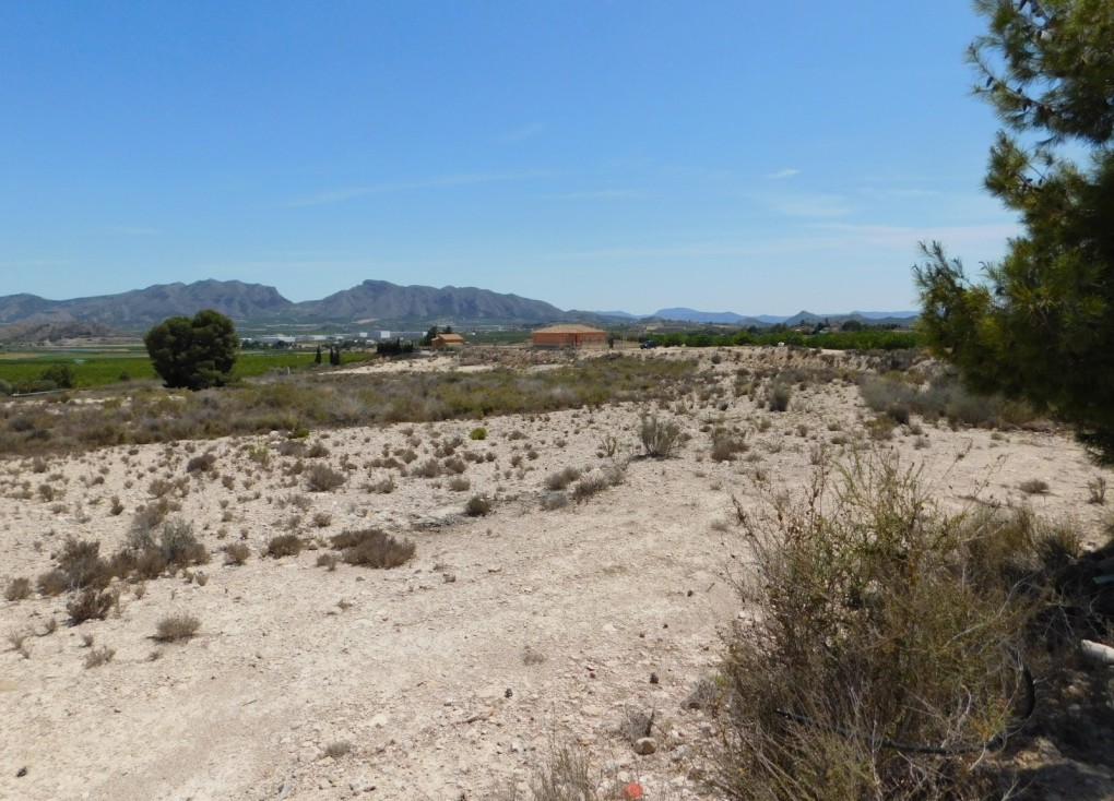 Jälleenmyynti - Tontti - Fortuna