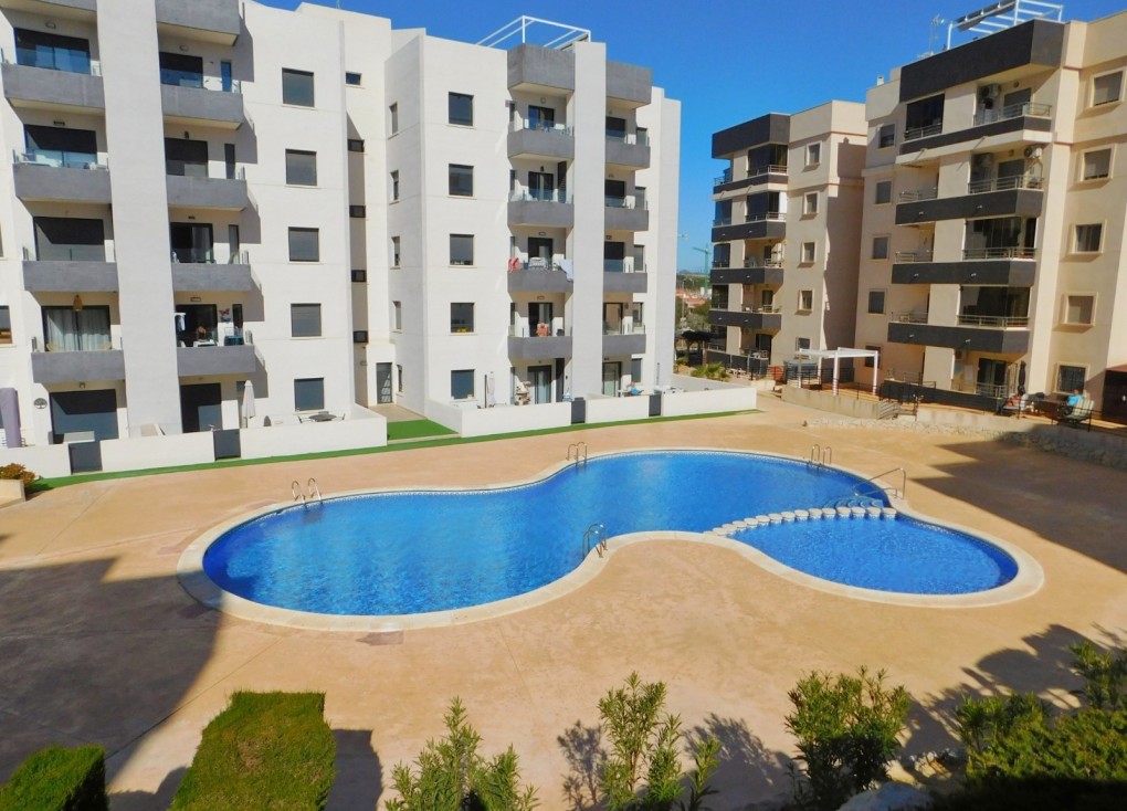 Long Term Rental - Apartment - San Miguel de Salinas