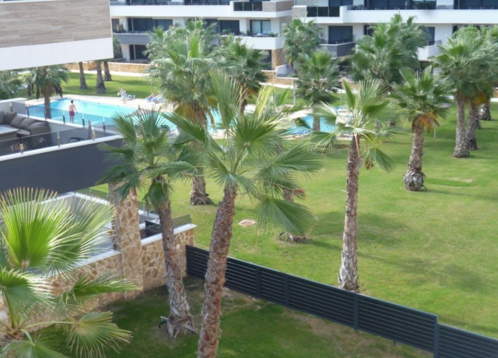 New Build - Apartment - Los Altos