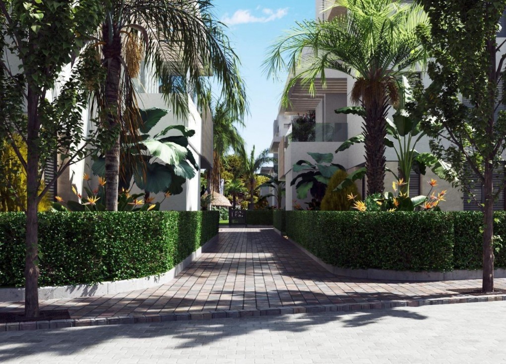 New Build - Apartment - Torre Pacheco