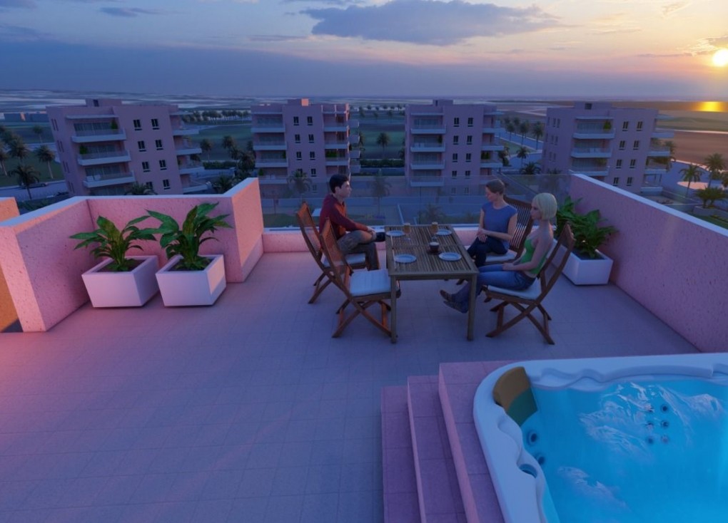 Obra nueva - Apartamento - Apartamento en el último piso - Guardamar del Segura