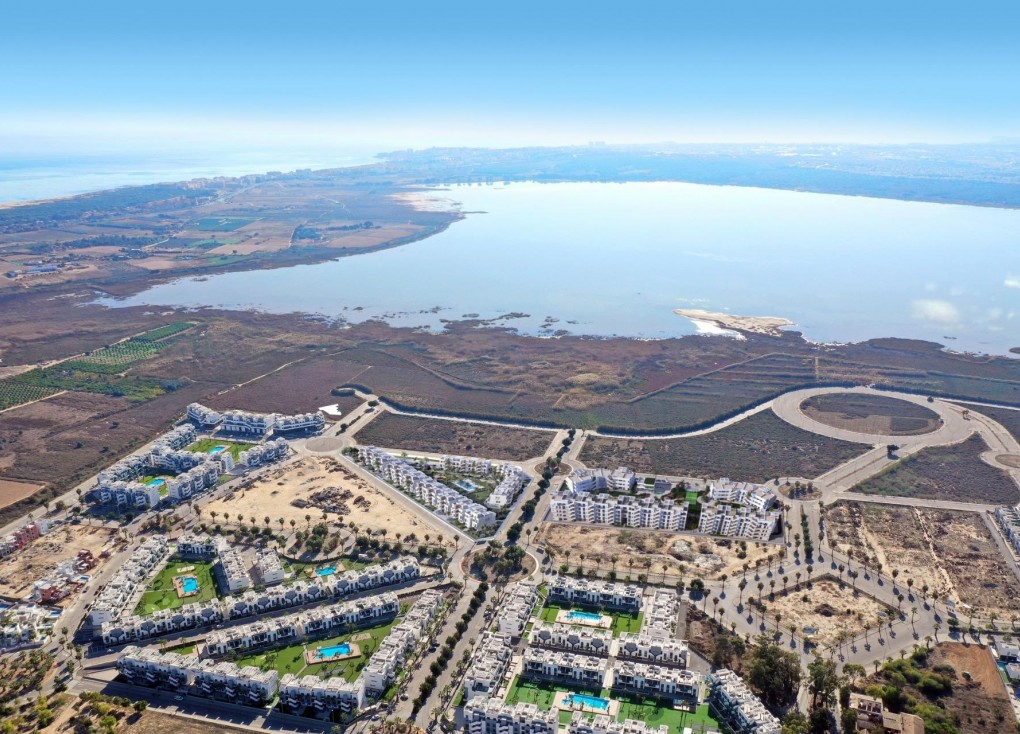 Obra nueva - Apartamento / piso - Guardamar del Segura