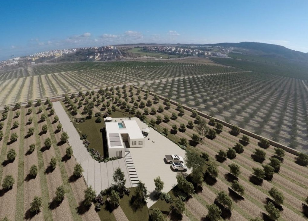 Obra nueva - Chalet - Algorfa