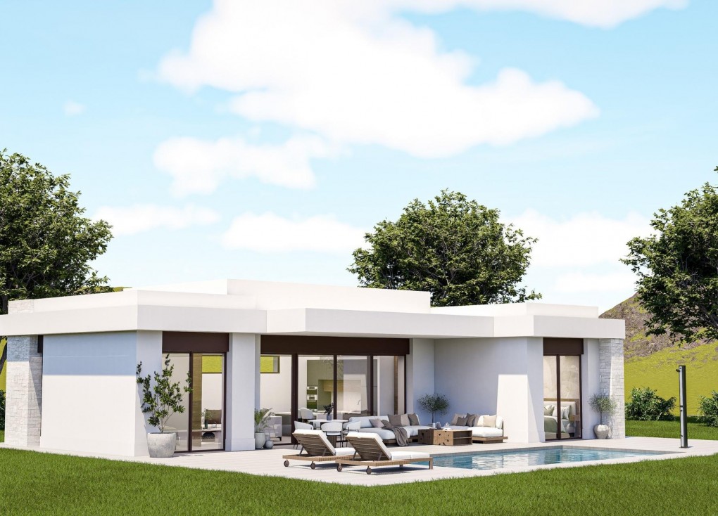 Obra nueva - Chalet - Pinoso