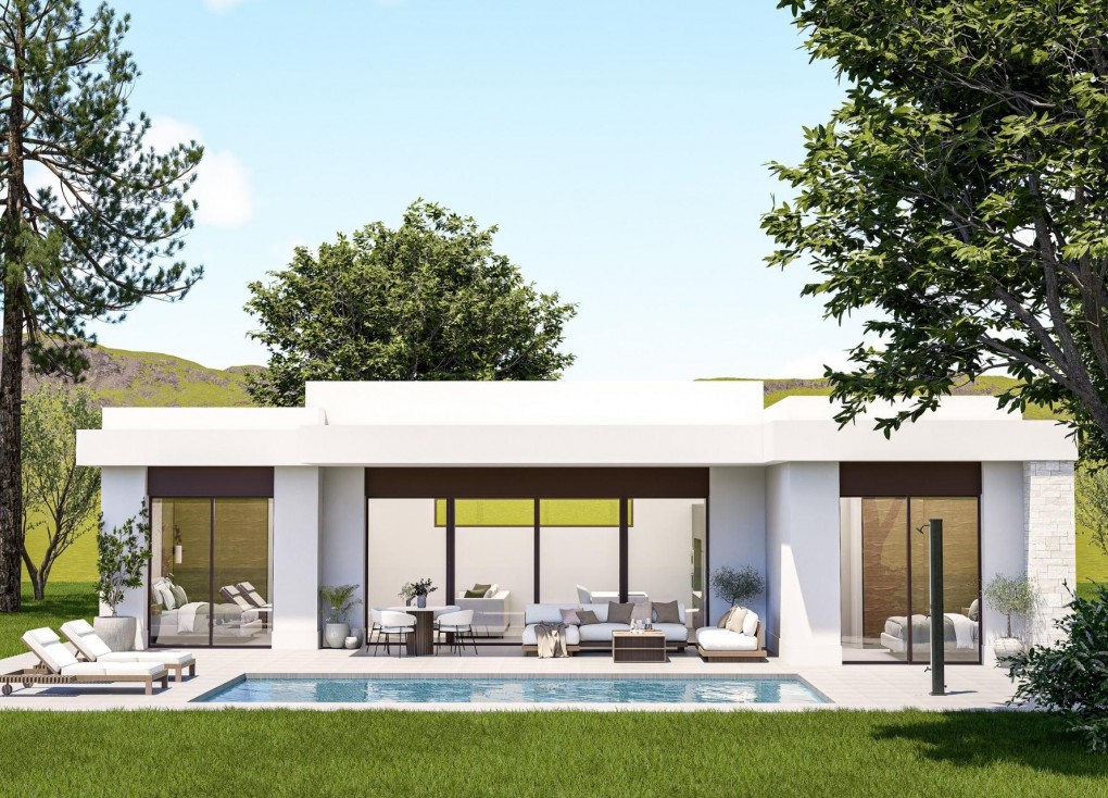 Obra nueva - Chalet - Pinoso