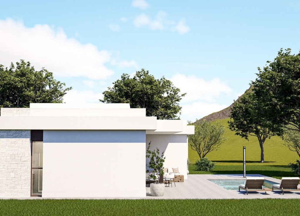 Obra nueva - Chalet - Pinoso