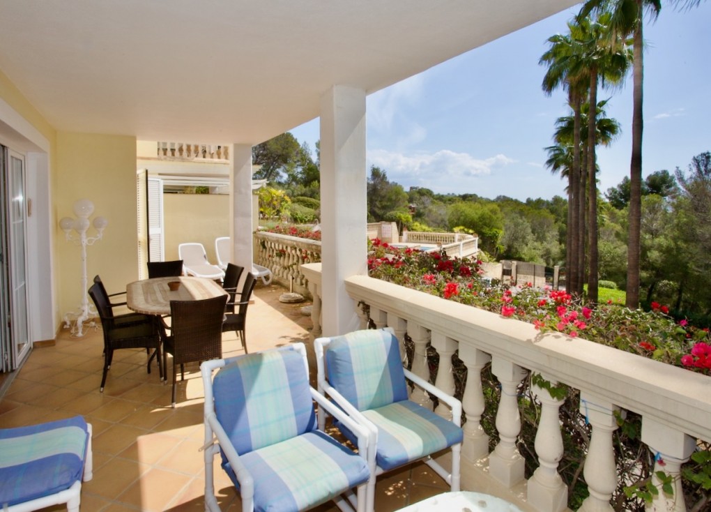 Resale - Apartment - Ground Floor Apartment - Portals Nous - Calvià