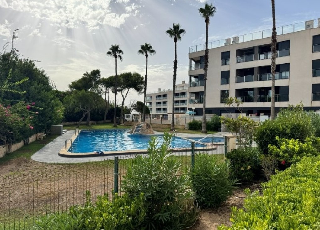 Resale - Apartment - La Mata - LA MATA