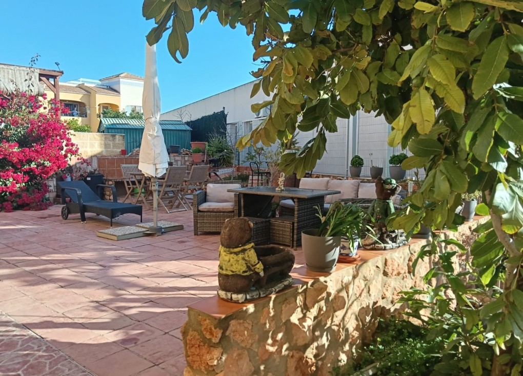 Resale - Apartment - Los Montesinos - LOS MONTESINOS