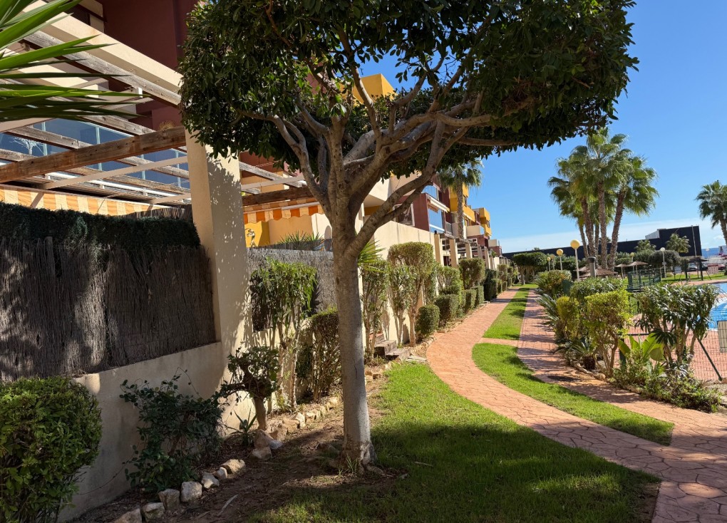 Resale - Apartment - Top Floor Apartment - Orihuela Costa - Playa Flamenca