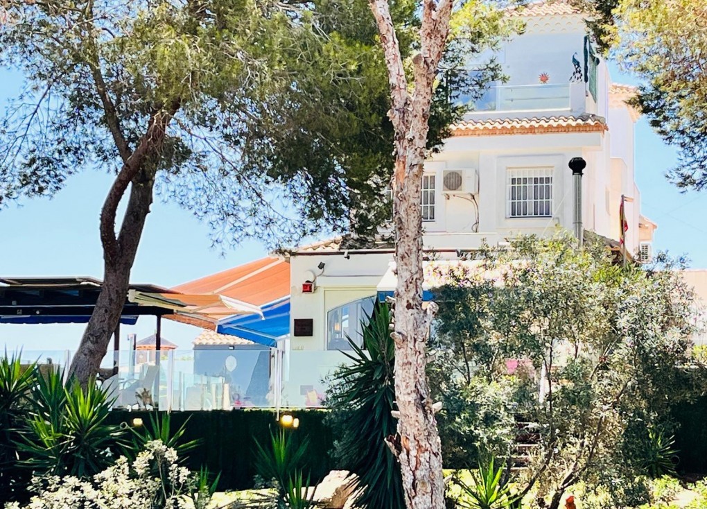 Resale - Chalet - Orihuela Costa - Montezenia