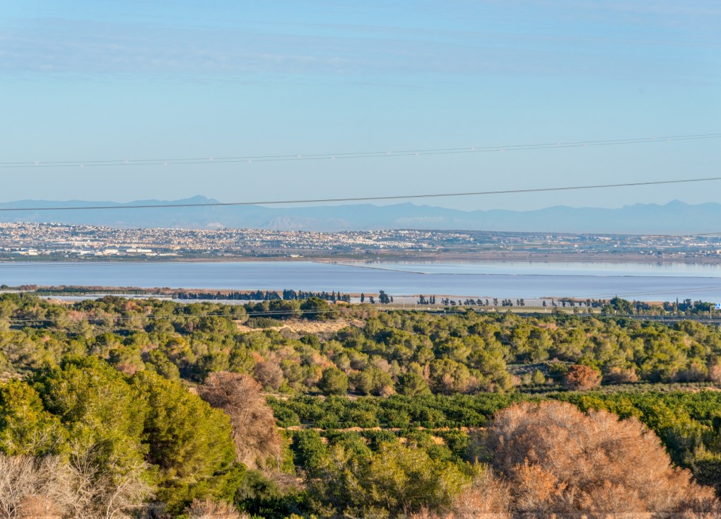 Resale - Chalet - Orihuela Costa - Villamartín