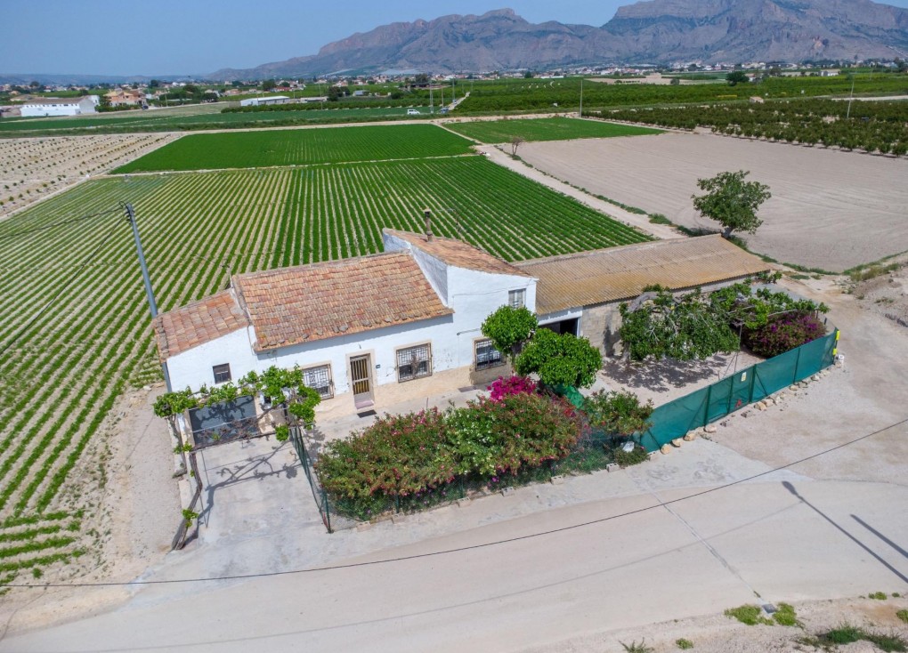 Resale - Chalet - Orihuela - Desamparados-Hurchillo-Torremendo
