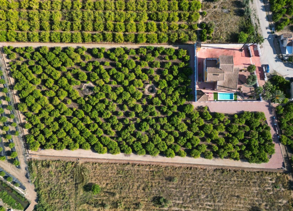 Resale - Finca - Country Property - Orihuela