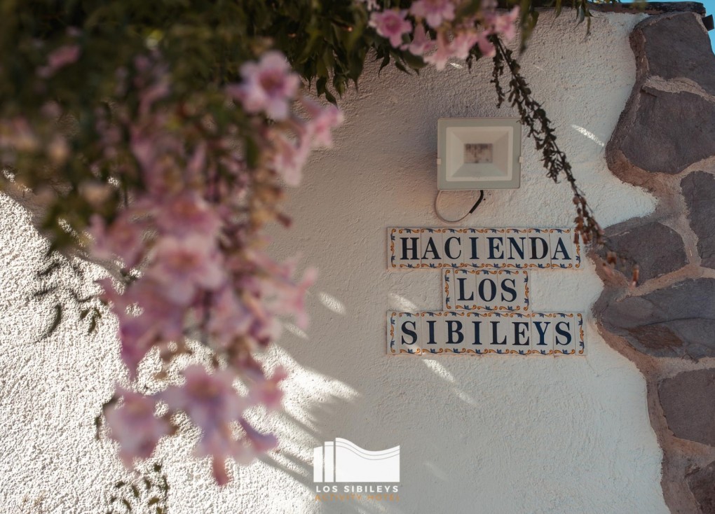 Resale - Finca - Lorca